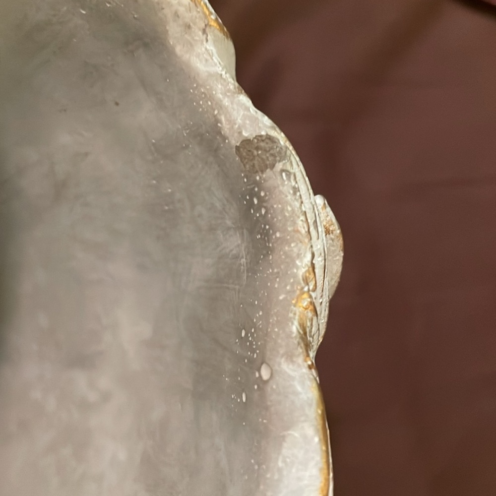 Anthropologie SMALL Grecian Bust Cement Pont - Picture 10 of 11